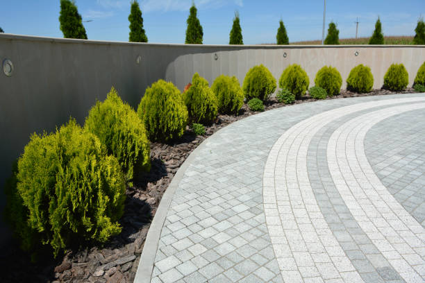 Best Driveway Repair Near Me  in Taylorsville, UT